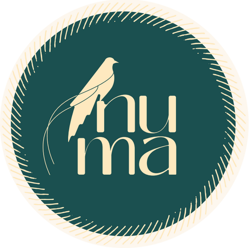 Numa Living company logo